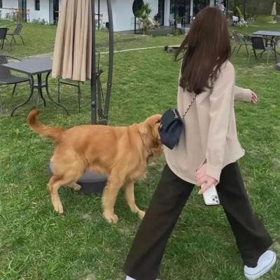猎爱陷阱